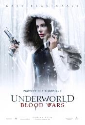 Photo de Underworld: Blood Wars 24 / 26