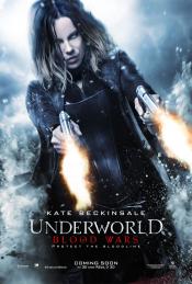 Photo de Underworld: Blood Wars 25 / 26