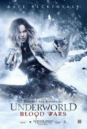 Photo de Underworld: Blood Wars 26 / 26