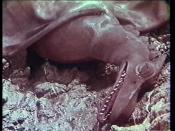 Photo de Voyage to the Planet of Prehistoric Women  5 / 9