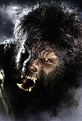WOLFMAN THE WOLFMAN le monstre enfin révélé en deux photos