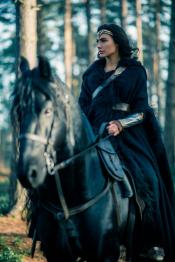 Photo de Wonder Woman 35 / 57