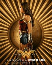 Photo de Wonder Woman 45 / 57
