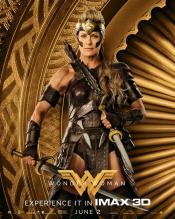 Photo de Wonder Woman 46 / 57