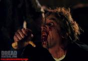 Photo de Zombies Vs. Strippers 3 / 6