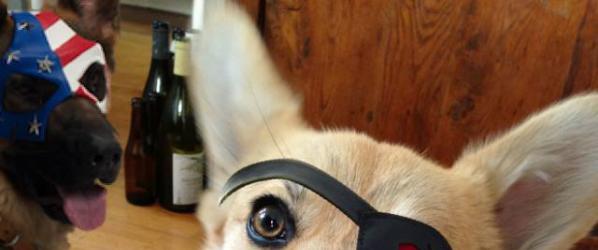 INFO - SORTIES DE LA SEMAINE KICK-ASS 2 CONJURING LES DOSSIERS WARREN