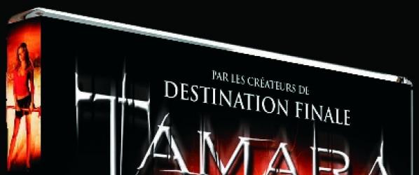 TAMARA DVD NEWS - TAMARA chez WE Prod