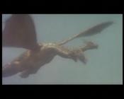 Godzilla Vs King Ghidorah