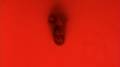 Photo de House of the Dead 23 / 38